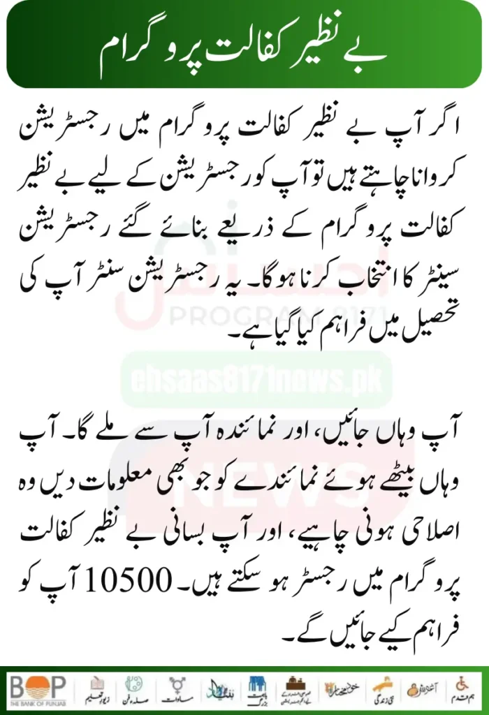 Punjab Government Launches Solar Panels Project for 50000 Eligible Families 25