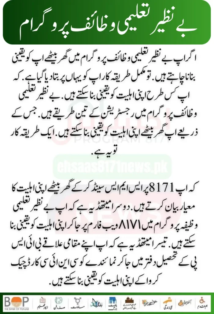 Punjab Government Launches Solar Panels Project for 50000 Eligible Families 33