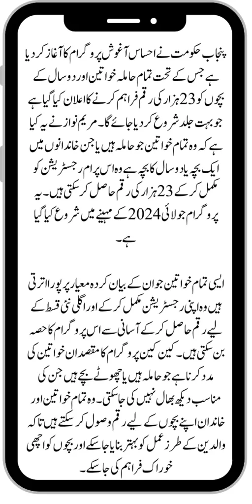 Document Verification Portal 8171 Launch For Benazir Kafaalat Payments 2024 2024 07 13T171643.992