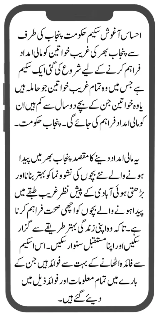 Document Verification Portal 8171 Launch For Benazir Kafaalat Payments 2024 2024 07 29T132622.576