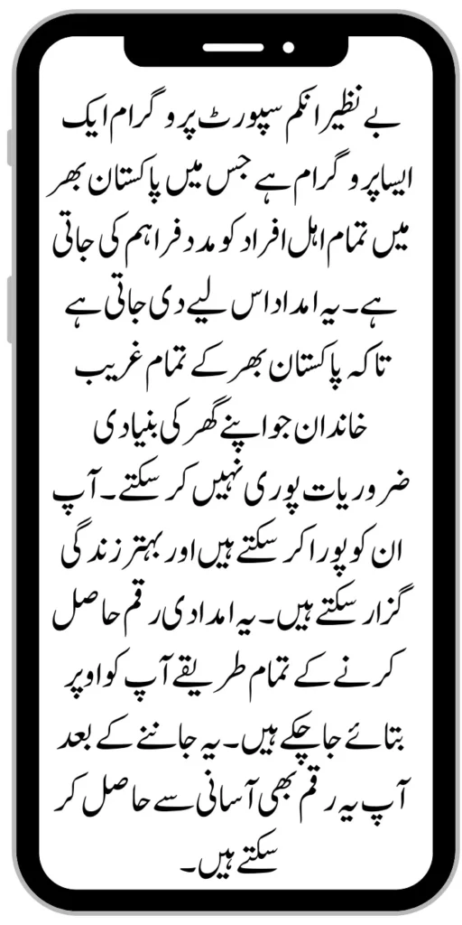 Document Verification Portal 8171 Launch For Benazir Kafaalat Payments 2024 49