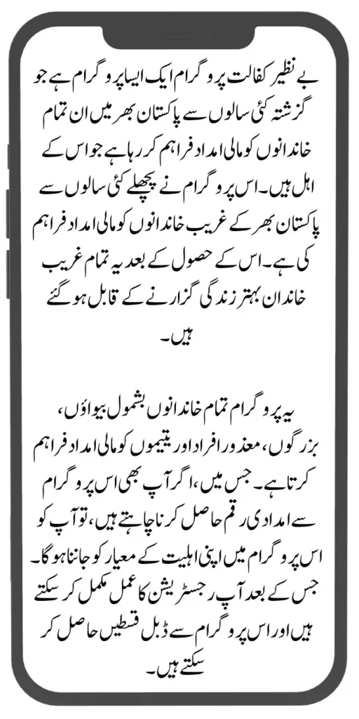 Document Verification Portal 8171 Launch For Benazir Kafaalat Payments 2024 2024 08 03T124322.962