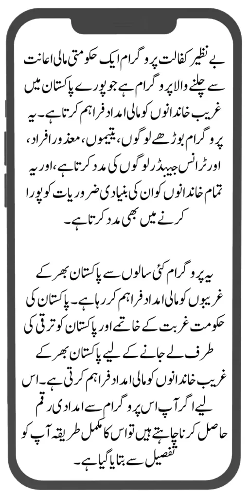 Document Verification Portal 8171 Launch For Benazir Kafaalat Payments 2024 2024 08 08T142737.718