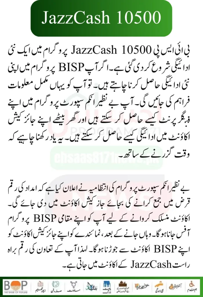 Punjab Government Launches Solar Panels Project for 50000 Eligible Families 12 1