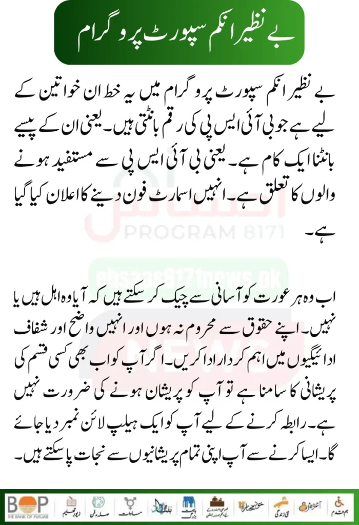 Punjab Government Launches Solar Panels Project for 50000 Eligible Families 13 2