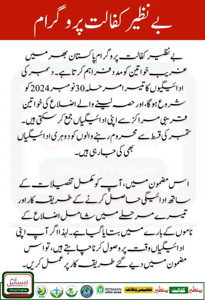 Benazir Kafaalat 13500 Dynamic Registry