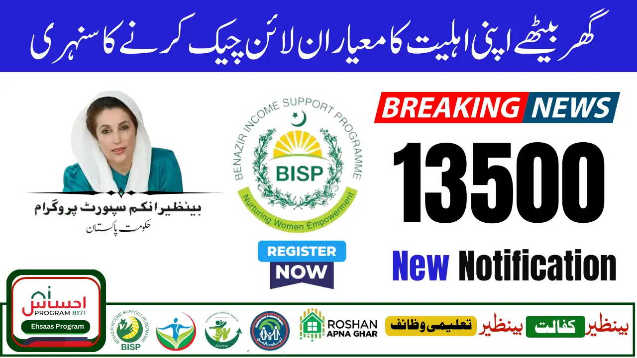 Ehsaas Programme 8171 Eligibility Check