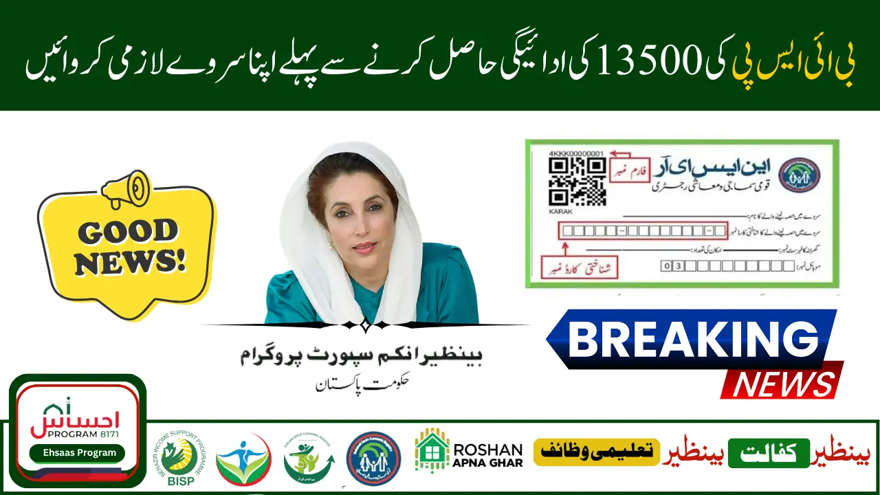 BISP Survey 2025 How to Check Your Payment Eligibility with CNIC and Solve Issues