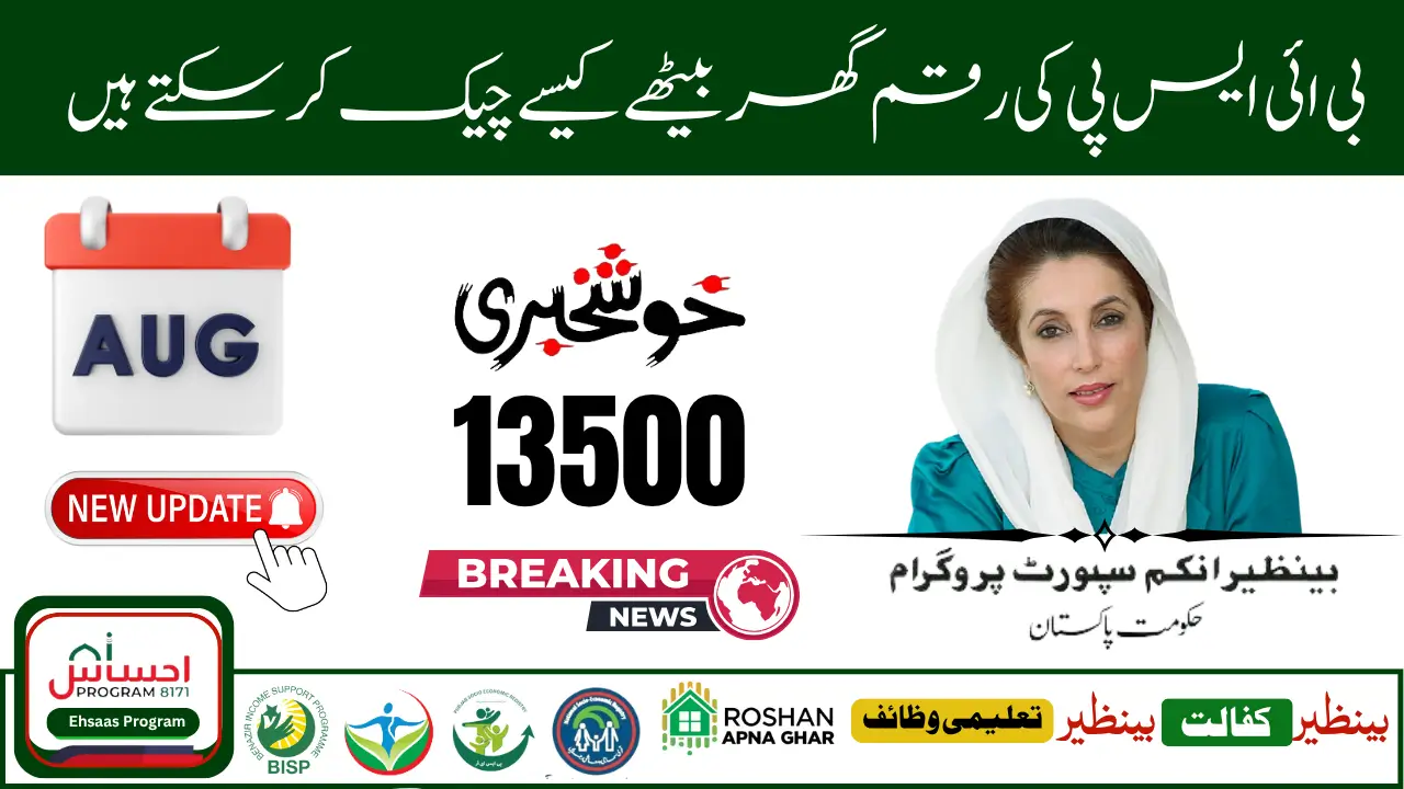 How to Check BISP 8171 Eligibility via CNIC [2025 Update]