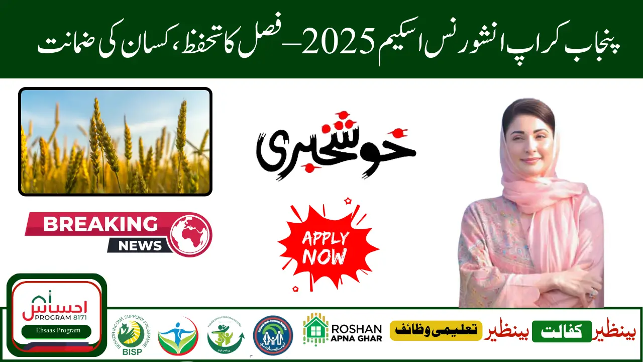 Punjab Crop Insurance Scheme 2025