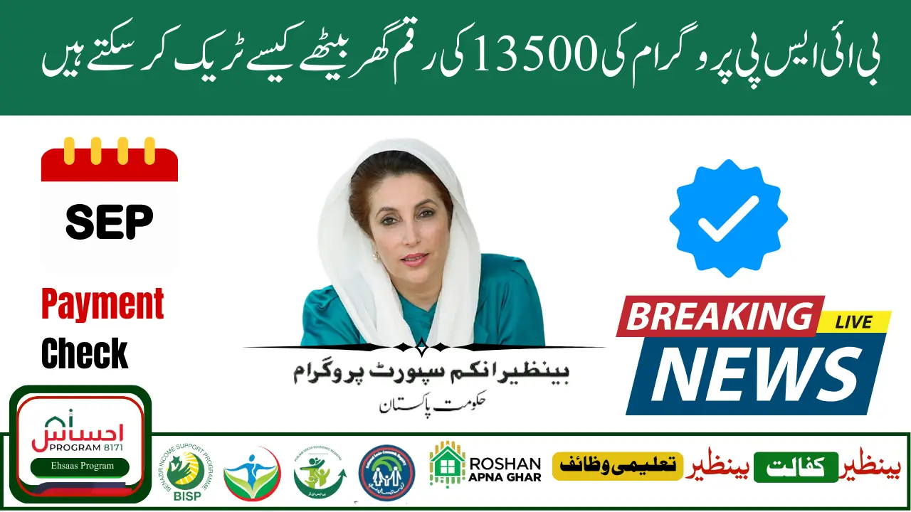 Track Your BISP Cash 13500 Through 8171 – Full Process Details 