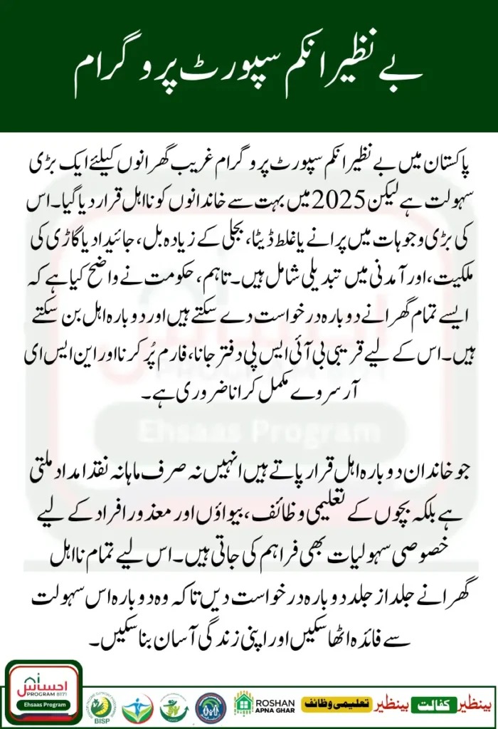 BISP Ineligible Families 2025